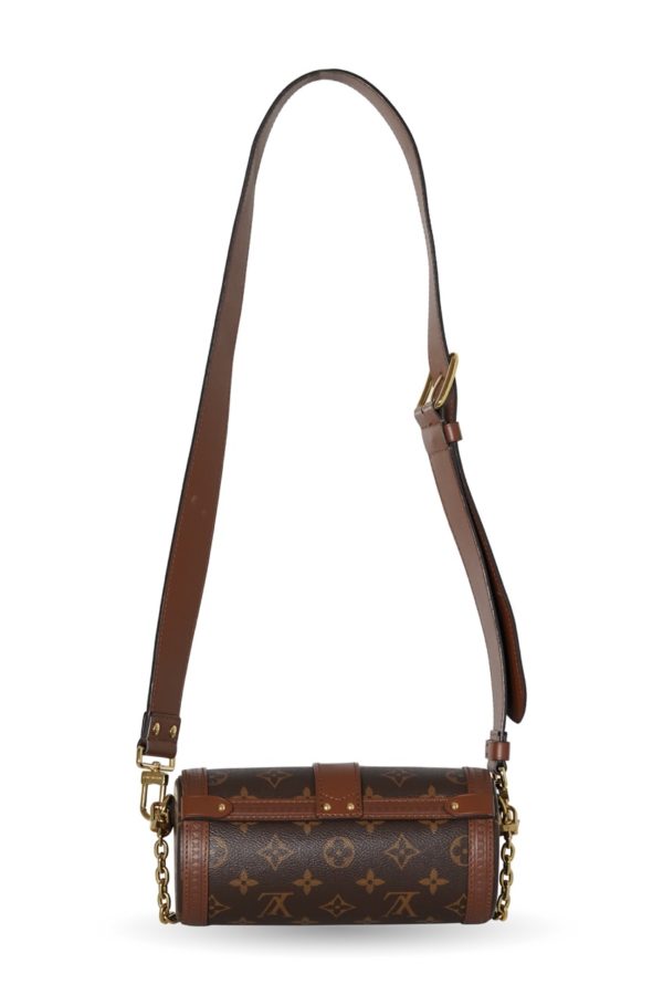 LouisVuitton_PapillonTrunk_CEMA00161