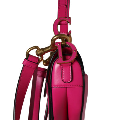 Dior_SaddleBag_CEMX 00140