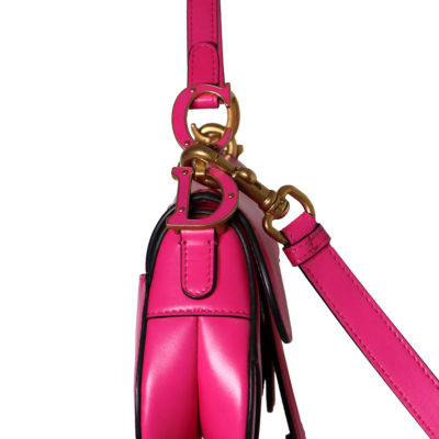Dior_SaddleBag_CEMX 00140