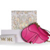 Dior_SaddleBag_CEMX 00140
