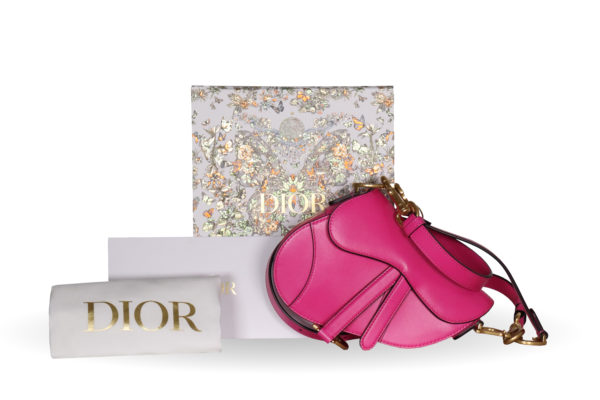 Dior_SaddleBag_CEMX 00140